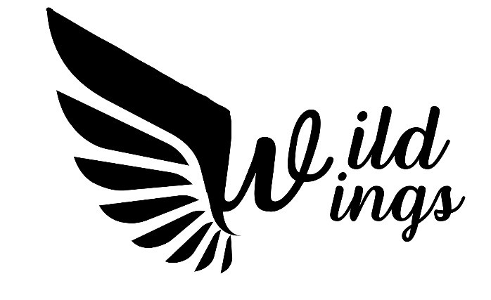 Solar Tracker Logo